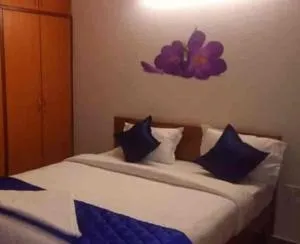 Hotel Adhunik Palace - Tālcher