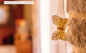 B&B / Chambres d'hotes Le Passage : photos des chambres