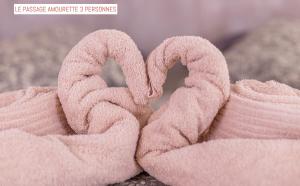 B&B / Chambres d'hotes Le Passage : photos des chambres