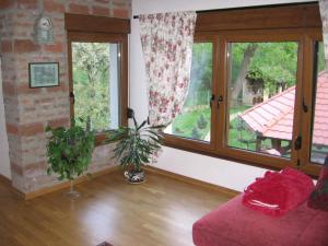 Kuca na Savi - Stari hrast