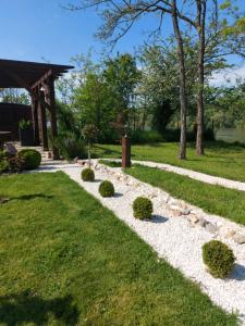 Kuca na Savi - Stari hrast