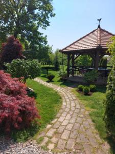 Kuca na Savi - Stari hrast