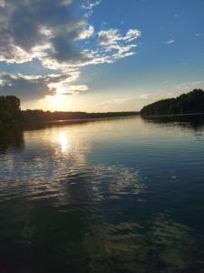 Kuca na Savi - Stari hrast