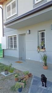 Appartamento B&B Cà Betty