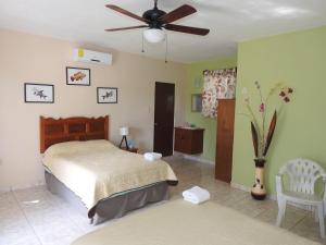 Las Palapas de Punta Allen