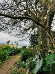 ImobIlha - Casa de Praia c/ piscina Ingleses - Santinho - Inglêses