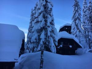 Almapartment in Sonnleitn am Nassfeld auf 1484m