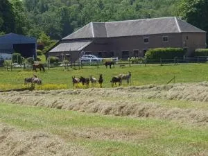 莫塔内斯酒店 - Petit-Fayt