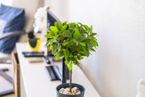 Apartment Venice by Algarve Vacation