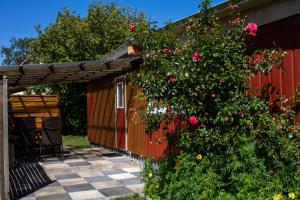 Ferienwohnung Bungalow Palliwoda Prerow