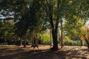 Kuća za odmor Vrdnik