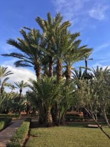 Appartement paisible et abordable Palmeraie Marrakech