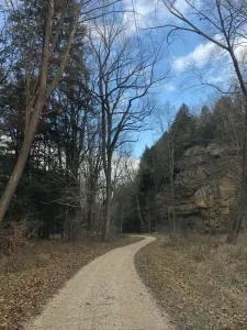 Bison Hollow Hideaway - تشيليكوث