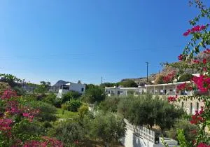 Anastasia's Garden - Archangelos (Arcangelo)