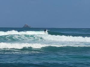 le TI-ANOLIS tartane martinique