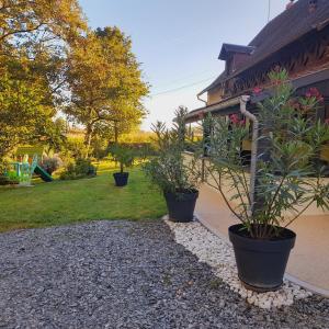 Maisons de vacances Gite les Vignes du Chateau - 4 personnes : photos des chambres