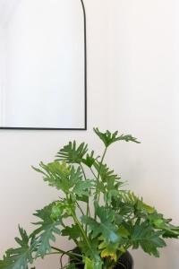 Surry Hills Chic right on Crown St