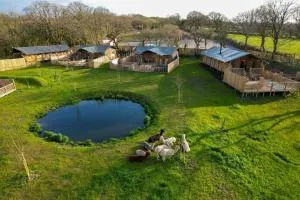 Jungle Book Safari Tent - Redberth