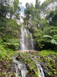 Nimbin waterfall retreat - Wiangaree