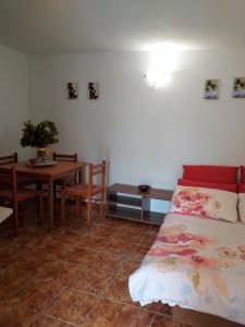 Apartments by the sea Vir - Lozice, Vir - 22083