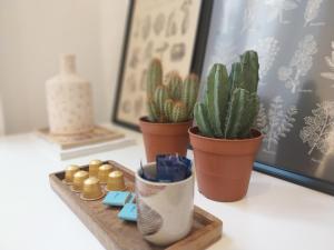 Collection Terreaux - No 1 Studio plein centre