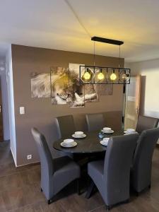 Appart meublé 92m2 + 2 terrasses