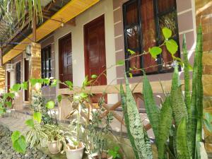 Marians Transient House