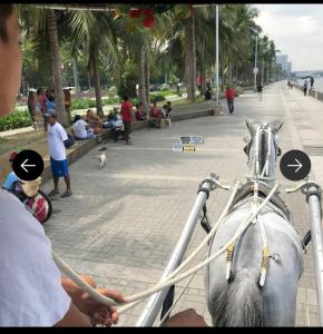 Grand Reviera Suites Manila Bay