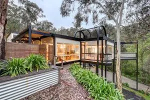 The Treehouse - Coromandel Valley