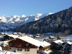 Studio confortable 4 pers. au Grand-Bornand avec balcon et garage - FR-1-458-191 - 圣让德锡克斯特