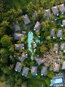 Kappa Senses Ubud