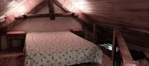 La chambre Nature chez les garçons - Chevelu