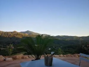 Studio entre mer et montagne - 埃希卡-苏埃雷拉