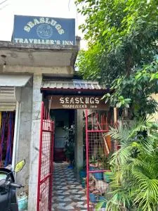 Seaslugs Travellers Inn - 爱妮岛