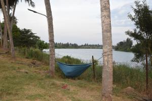 Golden Triangle River side Cabin