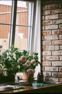 Snällfäll Country living - Åkerbo gård charmigt renoverad flygel