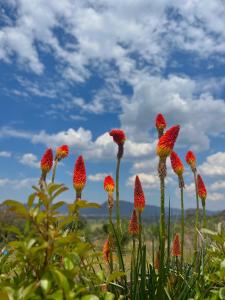 Hartley Valley Views