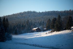 Maisons de vacances Gite La Ramee : photos des chambres