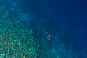 Faarufushi Island, Maldives.