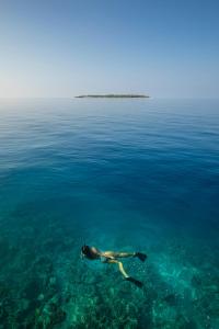 Faarufushi Island, Maldives.