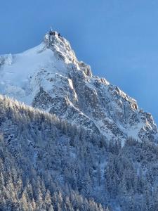Appartement Cosy, Vue Mont Blanc, Plein Centre