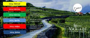 Juhfark Apartman Varsádi Wineyard