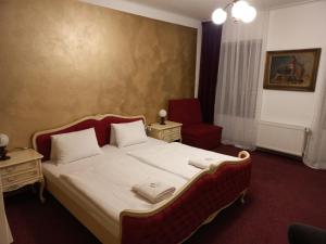 Double Room room in Hotel Bílá Paní