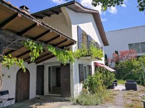 Charming house with a lake view