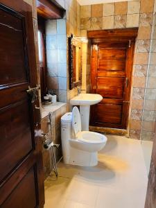 Dandelion By The Hills