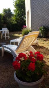 Le Home des Anges photo 21