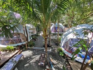 Beachfront Glamping Dome Dauin Bamboo Style