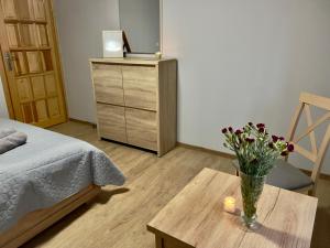 Apartamenty przy wyciągu Biały Jar Karpacz by Przycup w Karkonoszach Apartamenty