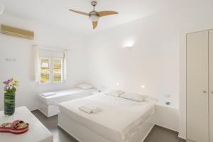Andrianas 1 - Cycladic Home with Garden , Paros