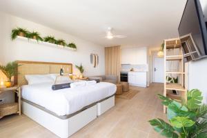 Butan Suite